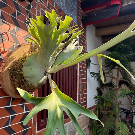 جينتشينغ Grace Homestay المظهر الخارجي الصورة