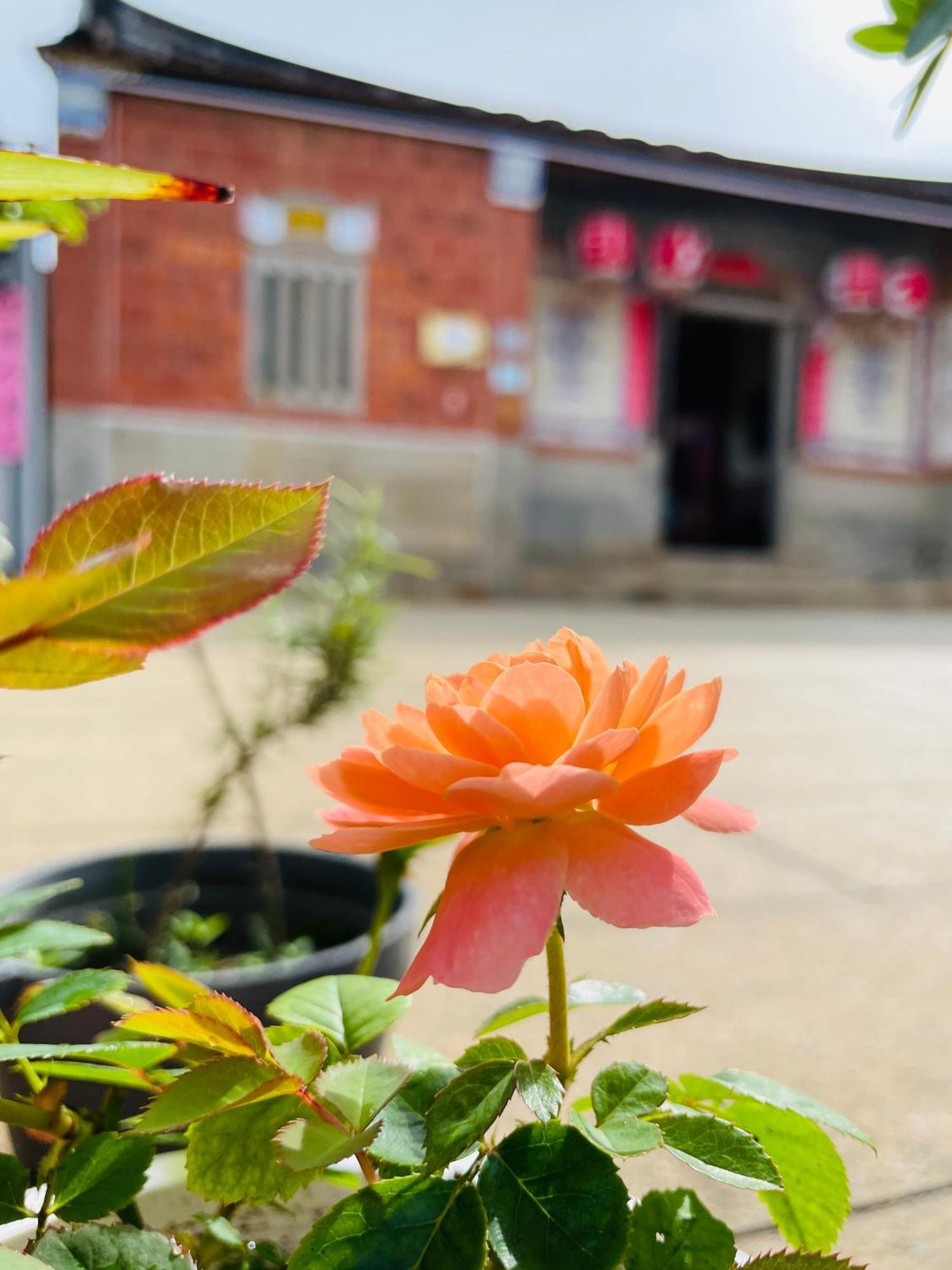 جينتشينغ Grace Homestay المظهر الخارجي الصورة