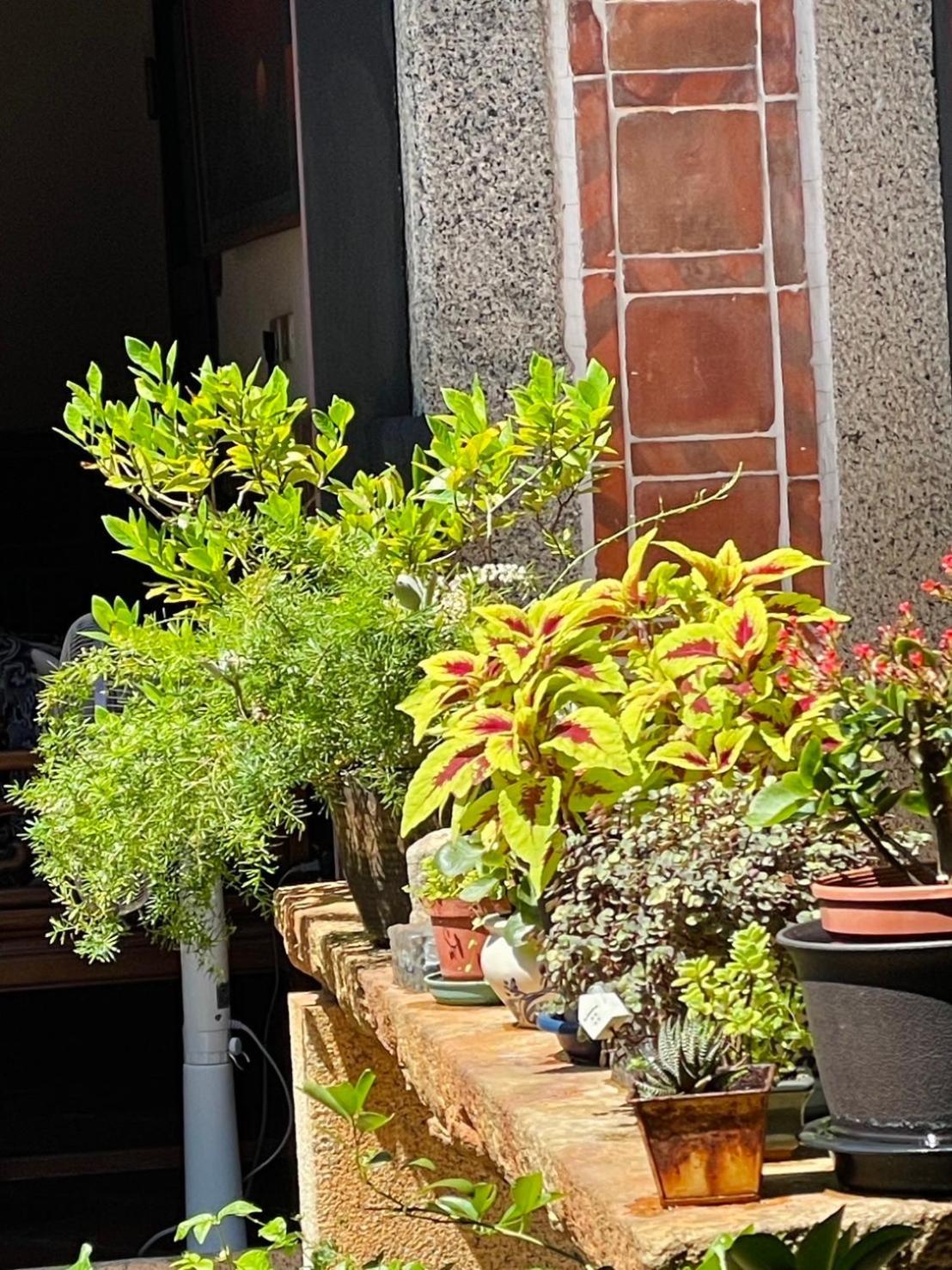 جينتشينغ Grace Homestay المظهر الخارجي الصورة